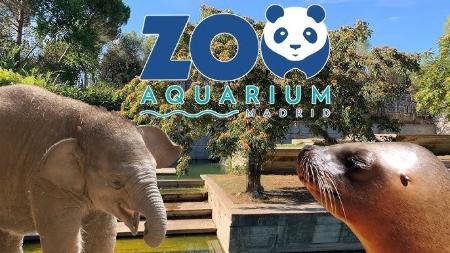 Imagen Zoo Aquarium de Madrid ofrece entradas a los vecinos de la ciudad a un precio muy ventajoso