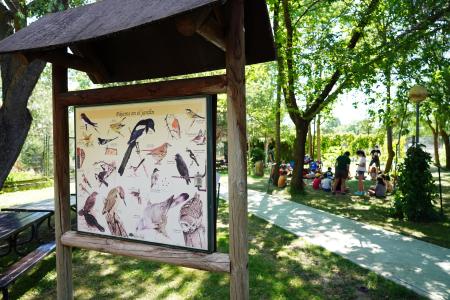 Imagen El Centro de Naturaleza Dehesa Boyal organiza una actividad ornitológica...