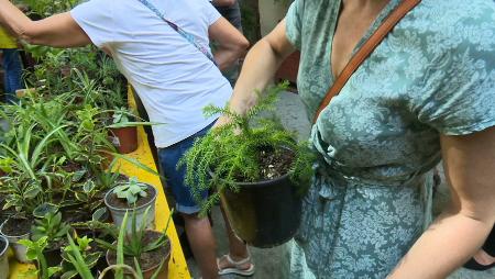 Imagen Plantas para los vecinos de San Sebastián de los Reyes por el Día Mundial del Medio Ambiente