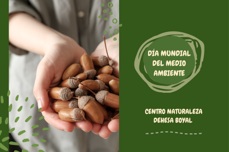 Imagen El Centro de Naturaleza Dehesa Boyal celebra el Día Mundial del Medio...