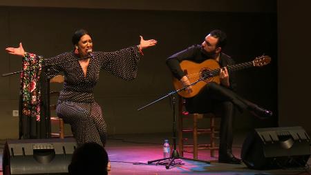 Imagen Un curso monográfico para conocer con detalle los palos del flamenco en la Universidad Popular