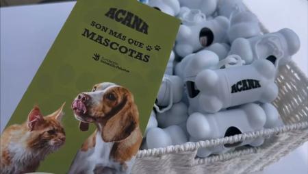 Imagen ‘Son más que mascotas’ o la importancia de la adopción y cuidado de los animales