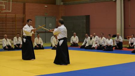 Imagen Recordando el 9º Curso Nacional de Aikido en Sanse organizado por Shoshinshakai