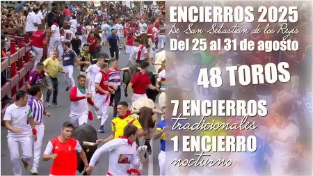 Imagen Ganaderías, toros y corredores: un adelanto de los encierros de San Sebastián de los Reyes en su 500 aniversario