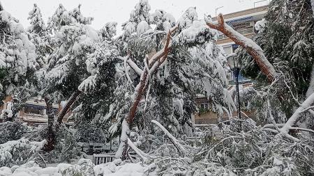 Imagen El temporal 'Filomena' sigue acumulando nieve en Sanse. La mejor...