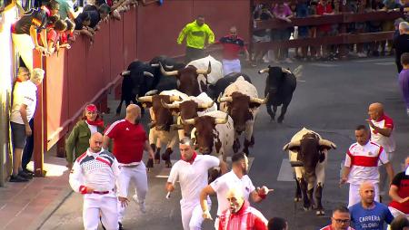 Imagen Los encierros de San Sebastián de los Reyes, un año más en directo en Antena 3 y Canal Norte TV