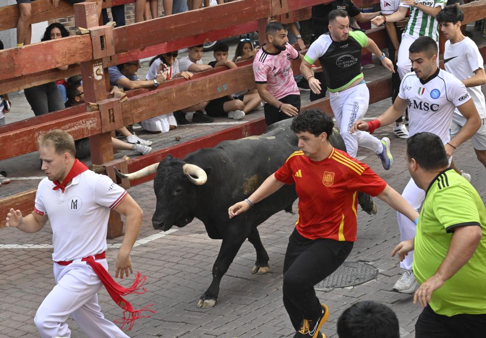 Imagen TC_29_8.JPG