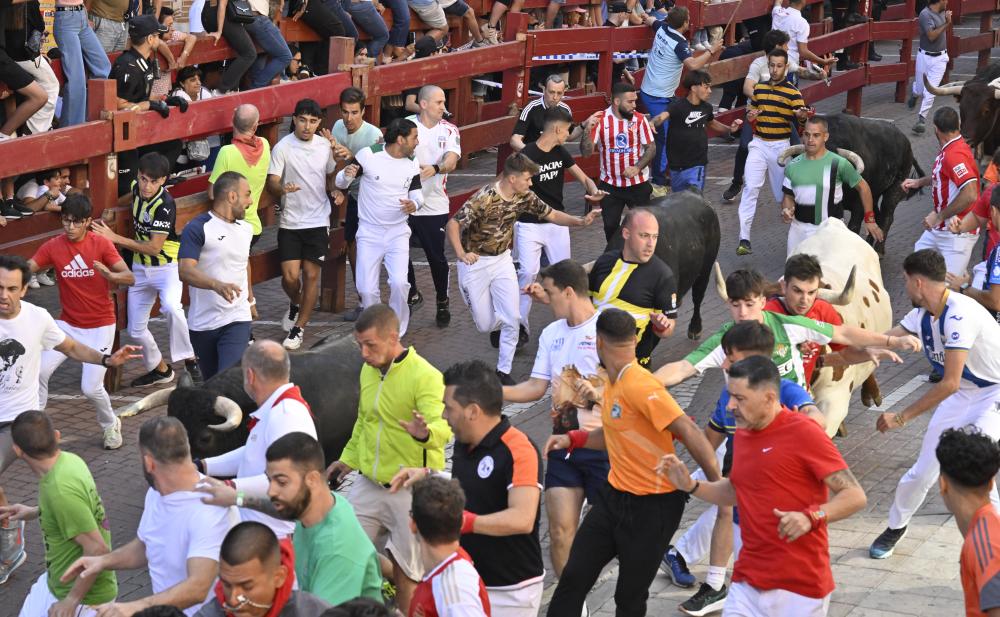 Imagen TC_30_8.JPG