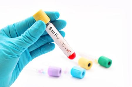 Imagen Medidas preventivas para proteger la salud pública y animal y evitar la...