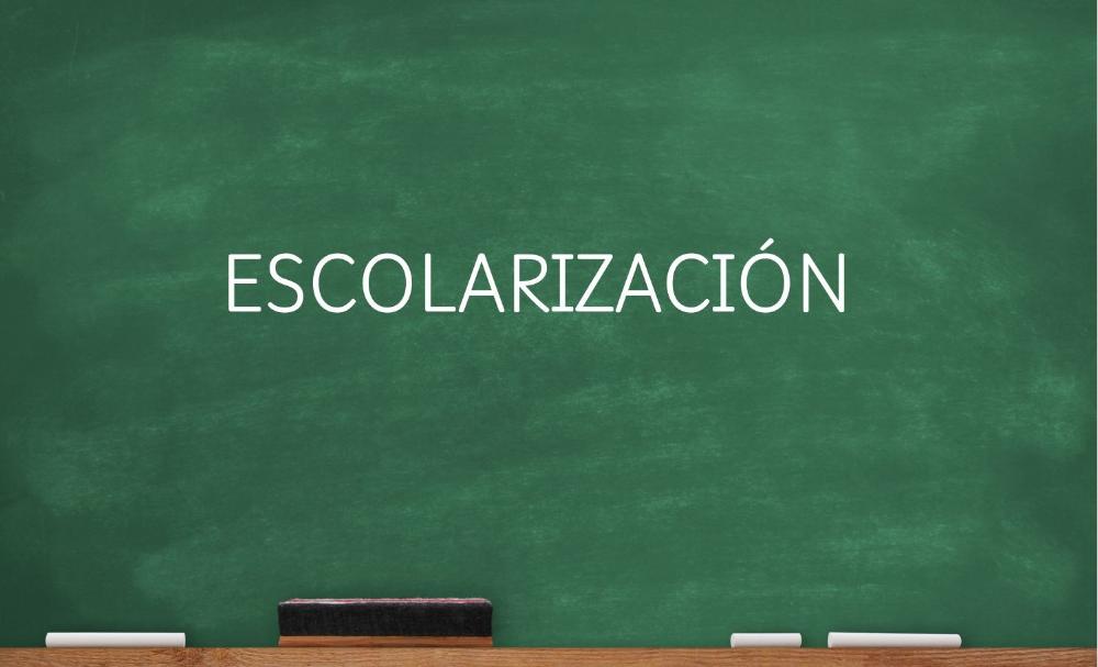 Imagen Escolarización