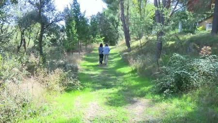 Imagen El Centro de Naturaleza Dehesa Boyal abrirá de nuevo sus puertas a los...