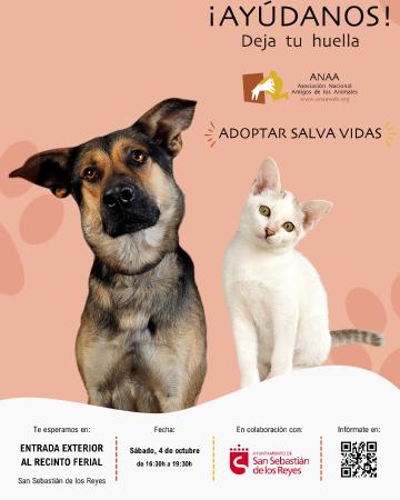 Imagen Nuestra ciudad y la Asociación Nacional Amigos de los Animales celebran...