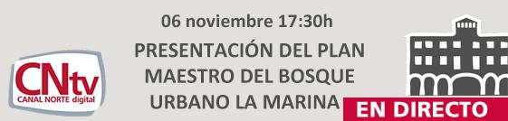 Imagen Banner campaña institucional