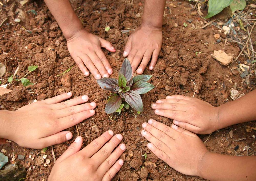 Imagen Proyectos financiados