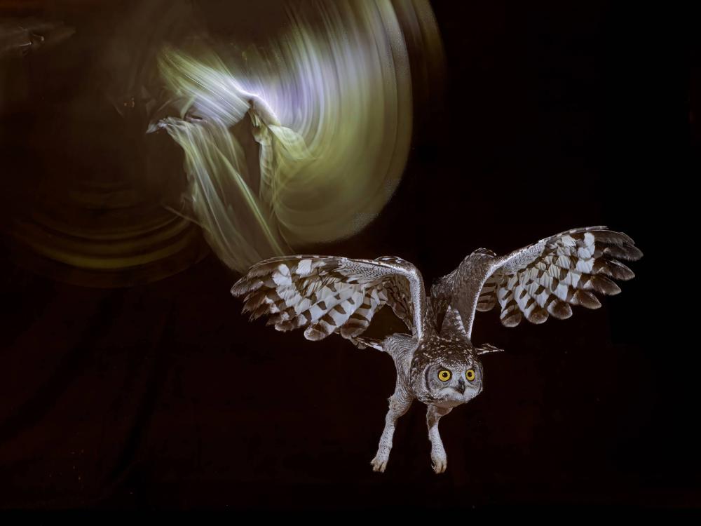 Imagen La fotografía ‘Áfrika’, de José Ignacio García-Orea, gana el concurso social de la AFSSR de diciembre