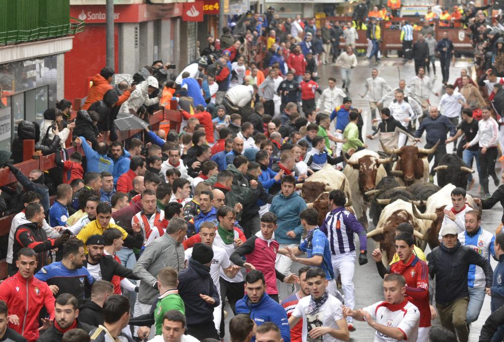 Imagen El primer Encierro Blanco de 2026 registra una masiva participación de corredores, más que en algunos encierros de agosto