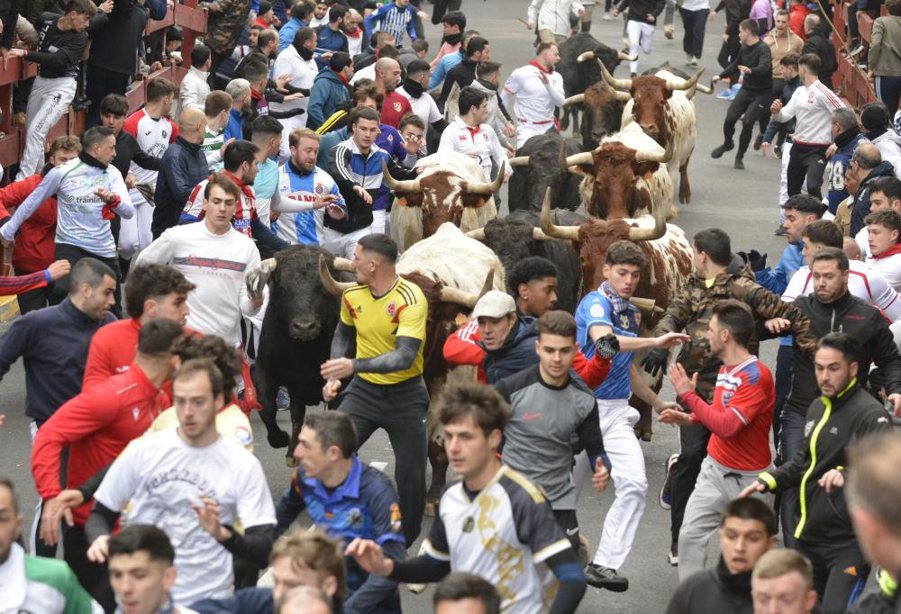 Imagen El segundo Encierro Blanco se salda con una carrera muy rápida y nueve heridos